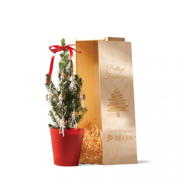 Kerstboom cadeau