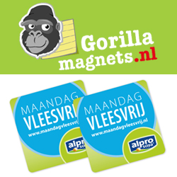 Vierkante magneet