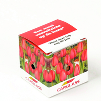 Mini tulpen doosje