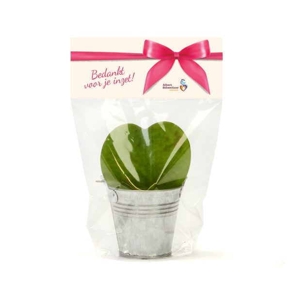 Ik vind je Leafplantje