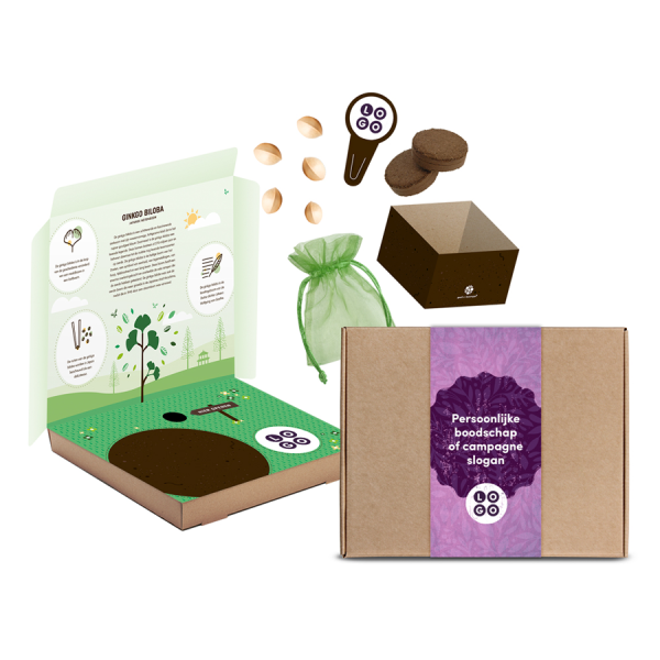 Ginkgo Biloba kweekset