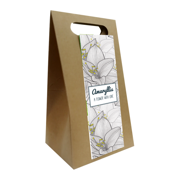 Amaryllis Giftbox