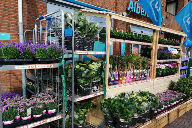 Albert Heijn staat weer op groen