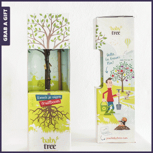 Grab-a-Gift-Baby-tree-fruitboom-als-relatiegeschenk