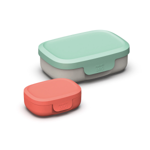 Leo line kids lunchbox