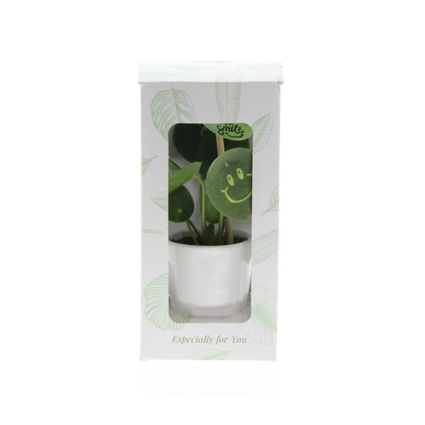Smylieplant®