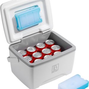 Brisby 8L koelbox frigobox ideaal voor personalisatie