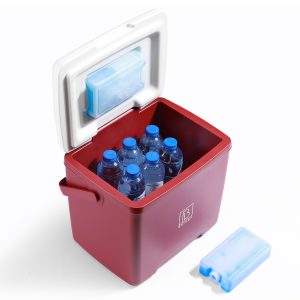 Brisby koelbox frigobox 13L, ideaal als relatiegeschenk. Personaliseerbaar.