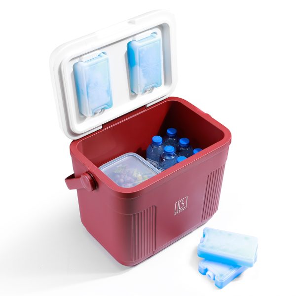 Brisby 22L koelbox frigobox, ideaal als relatiegeschenk. Personaliseerbaar