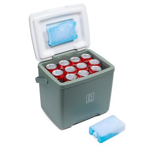 Brisby 13L koelbox frigobox, perfect als relatiegeschenk met jouw logo