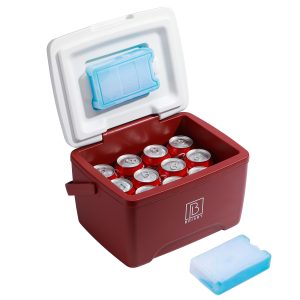 Brisby koelbox frigobox perfect voor personalisatie