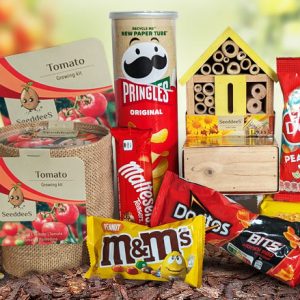 Groeipakket tomaten met insectenhotel
