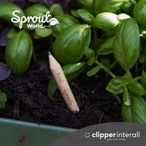 Sproutworld plantbaar potlood